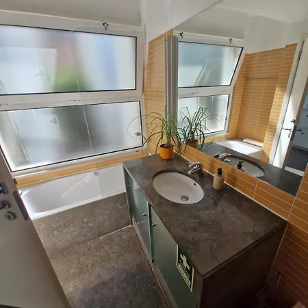 Terras Novas Paradise - *