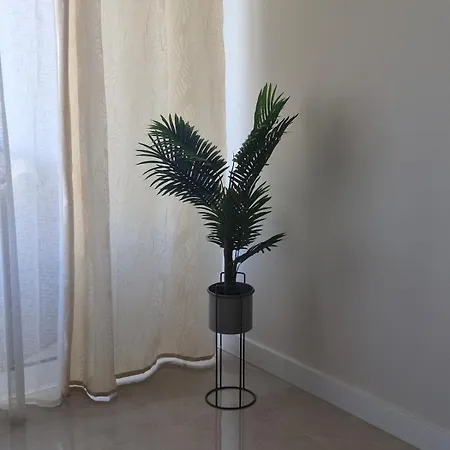 Terras Novas Paradise - * 阿尔布费拉
